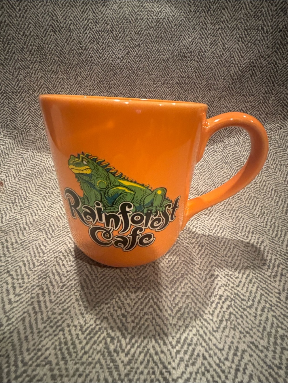 RAINFOREST Orange Mug with Green Iguana Graphic